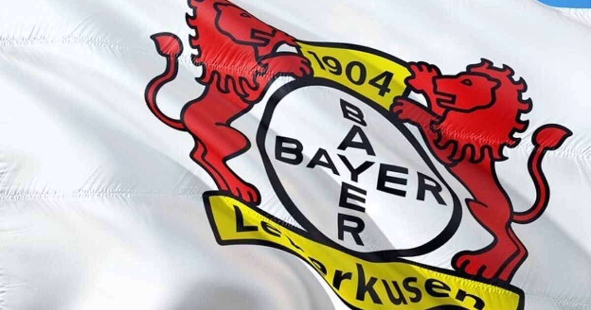 Fahne Bayer 04 Leverkusen - Symbolbild