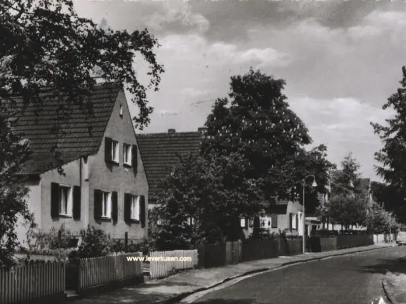 Mendelssohnstr.