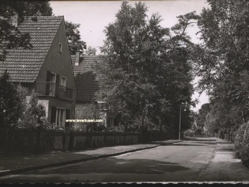 Saarlauterner Str.