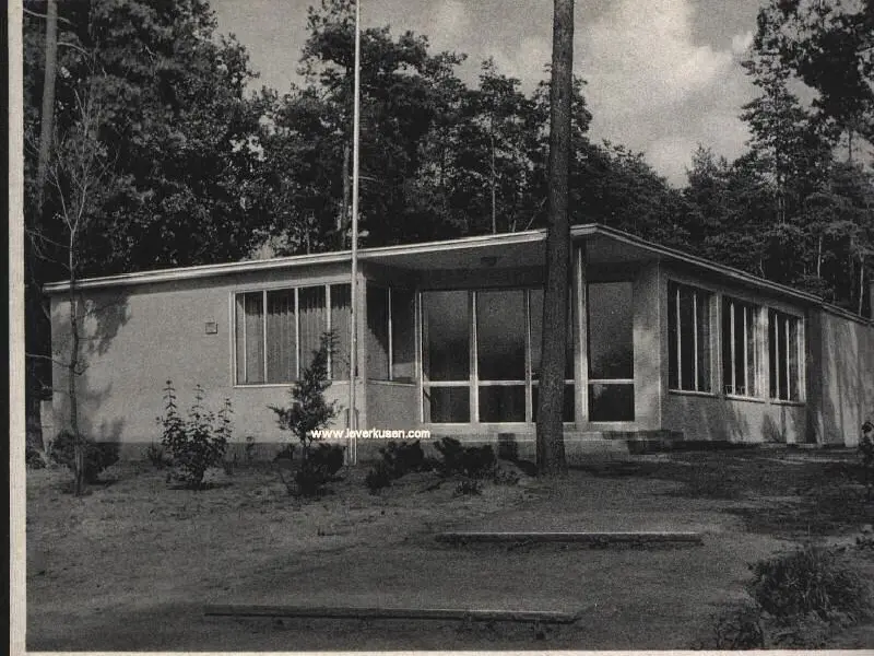 Waldschule