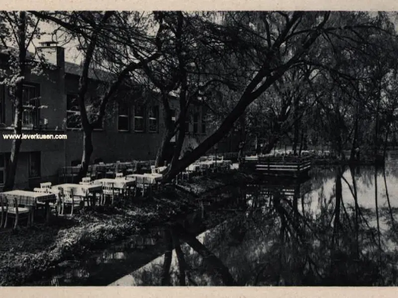 Lindenhof-Weiher