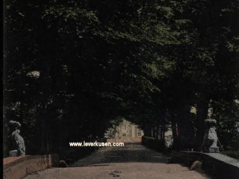 Schlebusch-Manfort, Morsbroicher Allee