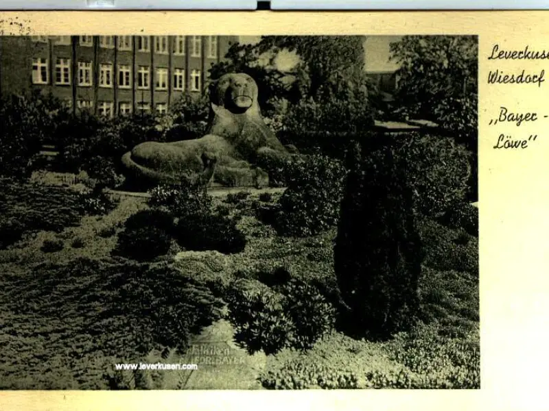 Bayer-Löwe