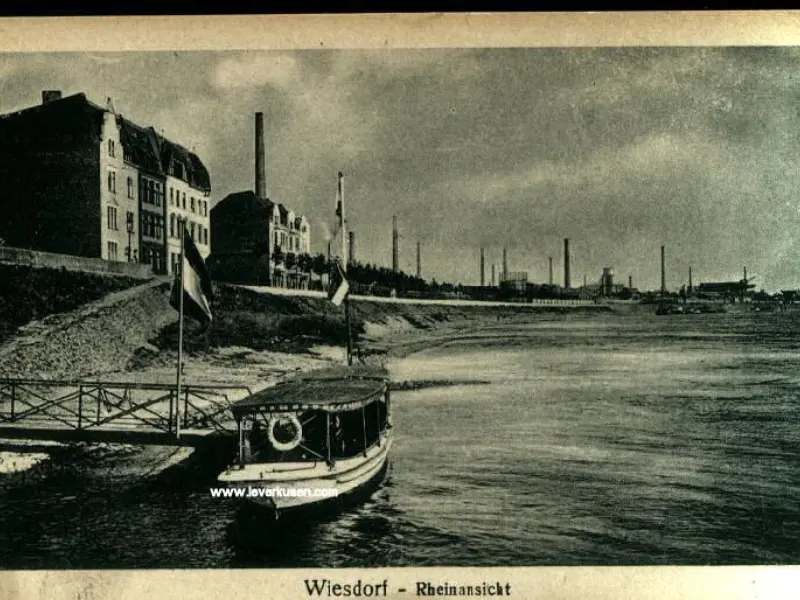 Wiesdorf - Rheinansicht