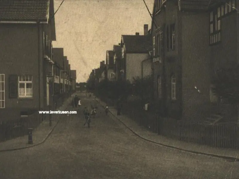 Wislicenusstr.