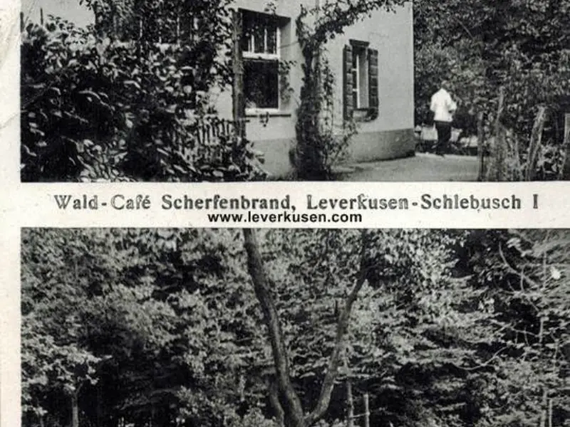 Wald-Café Scherfenbrand