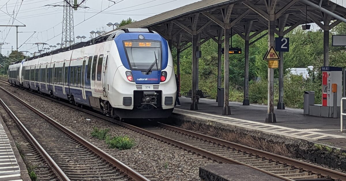 66442