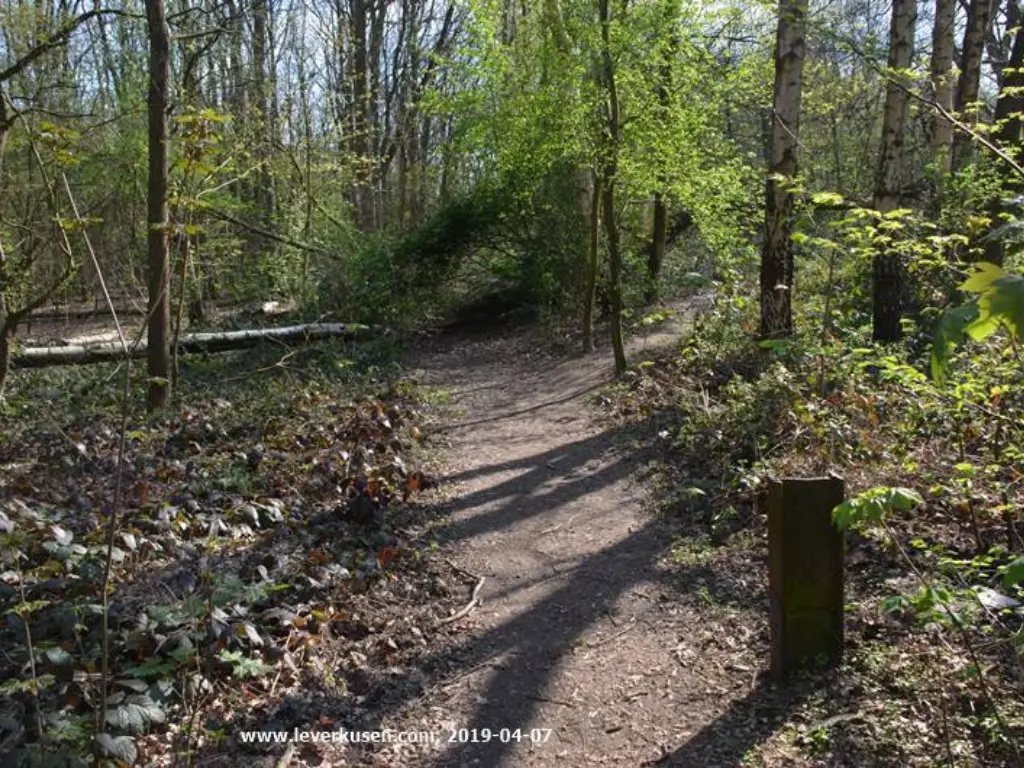 Naturschutzgebiet Am Hornpottweg