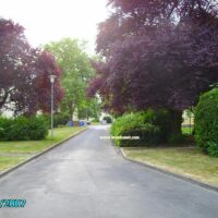 Rostocker Str.