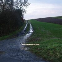 Wiesenfeld