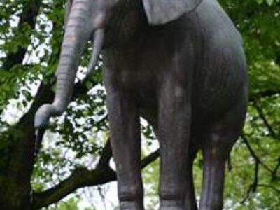 Ein besonderer Elefant