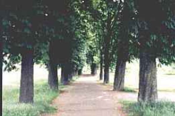 Kastanienallee