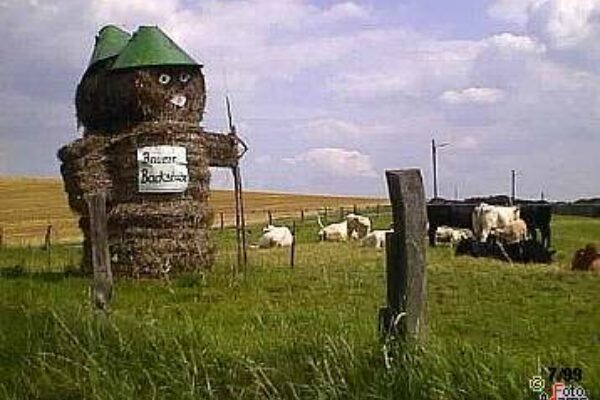 Boddenberg