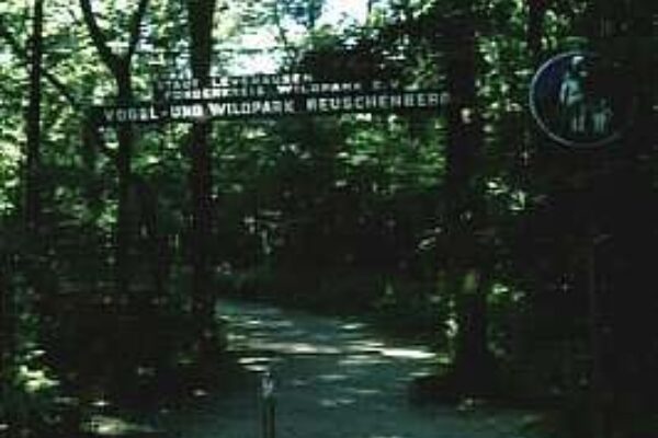 Wildpark Reuschenberg