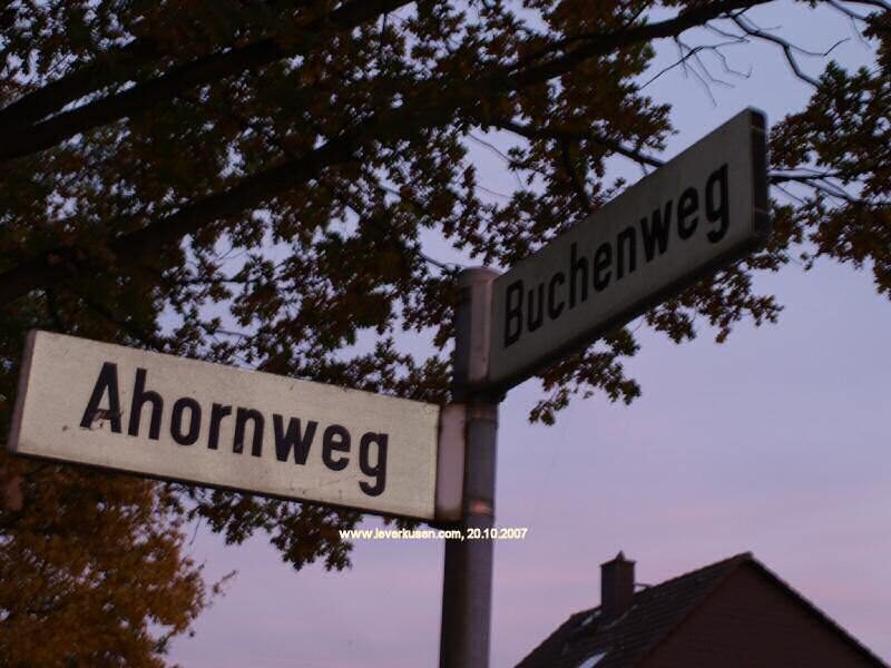 Ahornweg