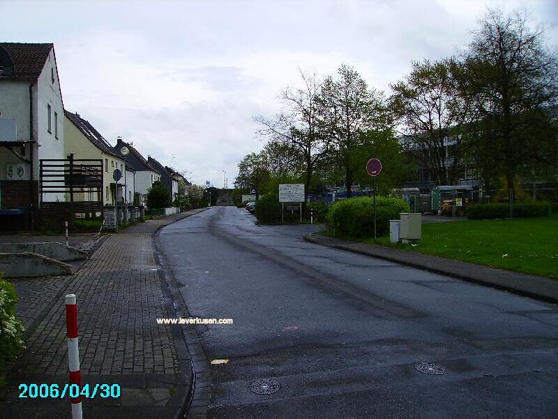 Alsenstr.