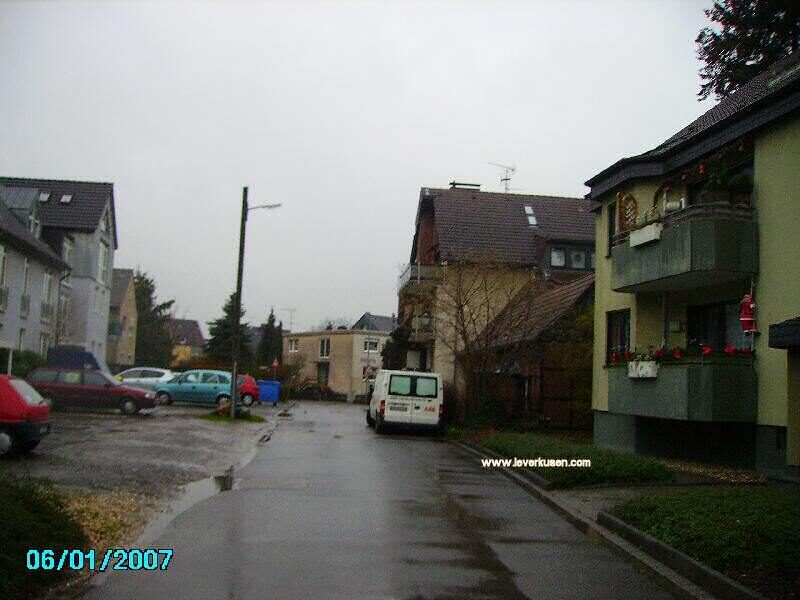 Alte Garten