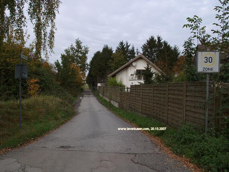 In den Belsen