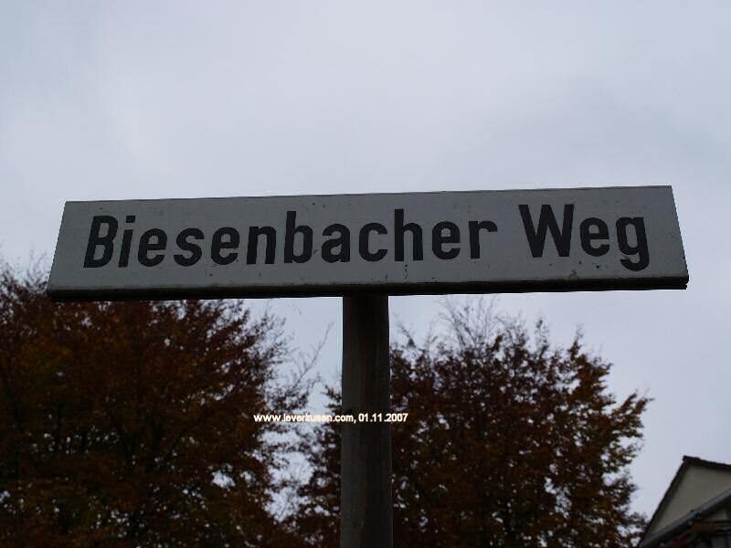 Biesenbacher Weg