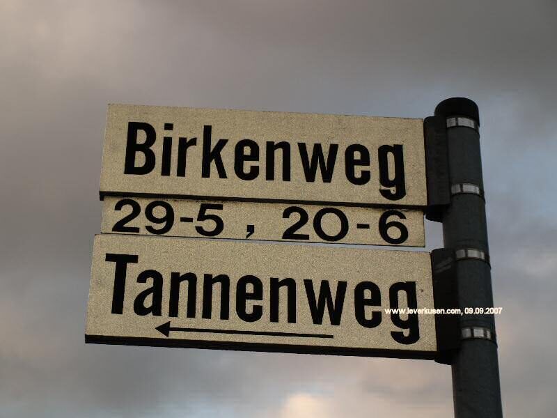 Birkenweg