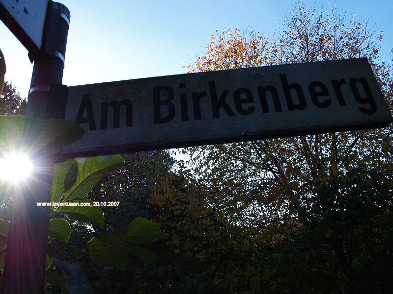 Am Birkenberg