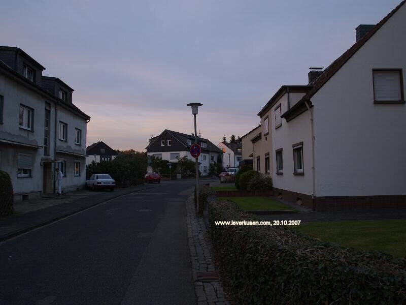 Buchenweg