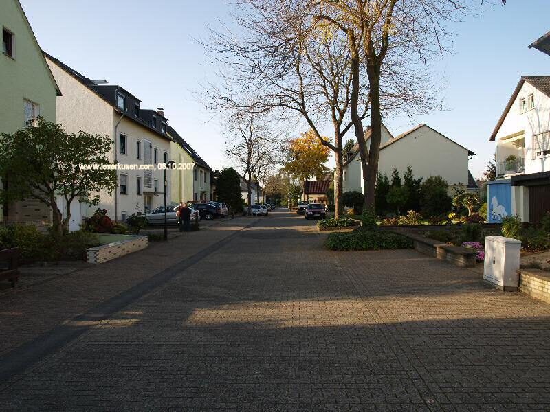 In den Dehlen