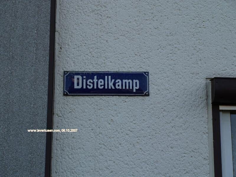 Distelkamp
