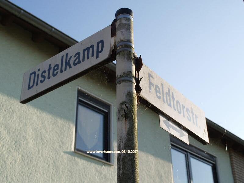 Distelkamp