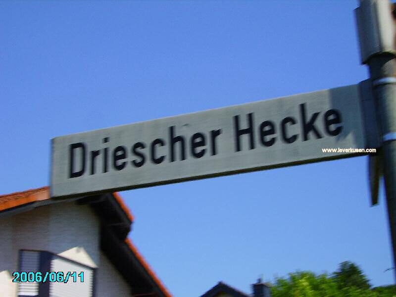 Driescher Hecke
