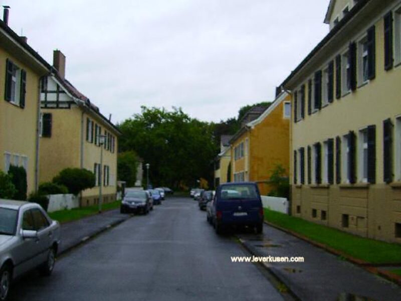 Walter-Flex-Str.