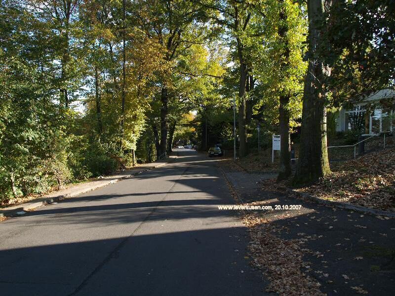 Friesenweg