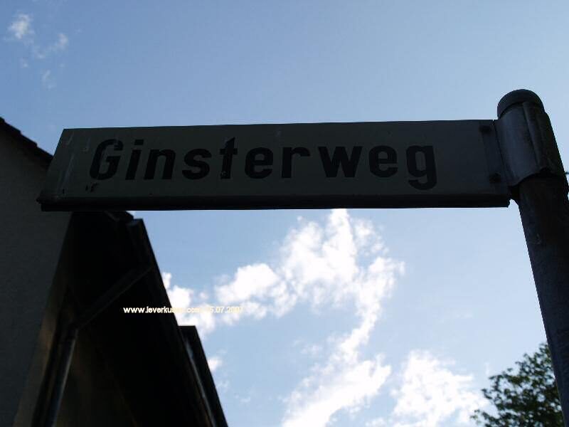 Ginsterweg