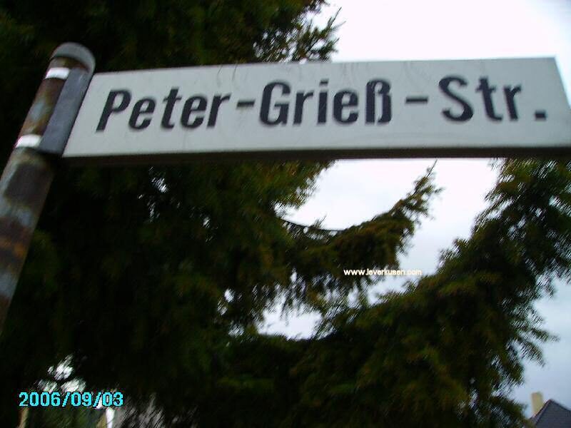 Peter-Grieß-Str.