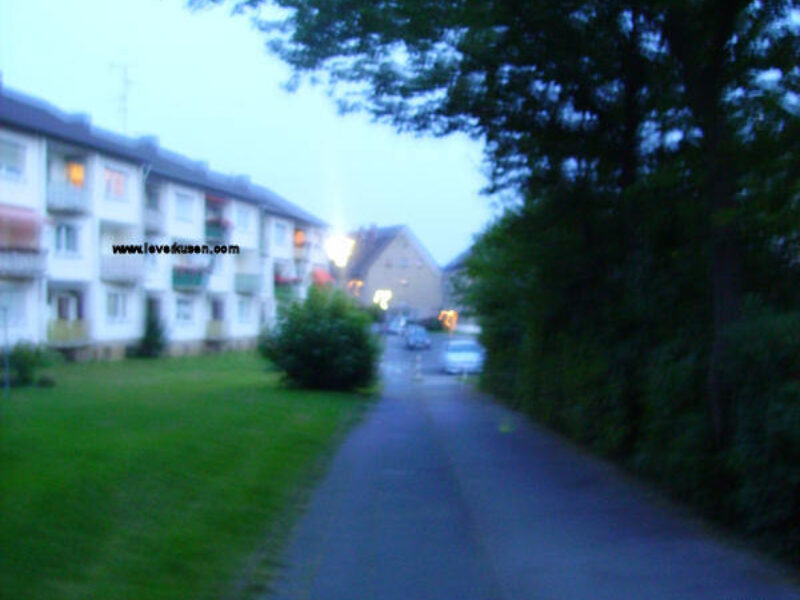 Im Grunde