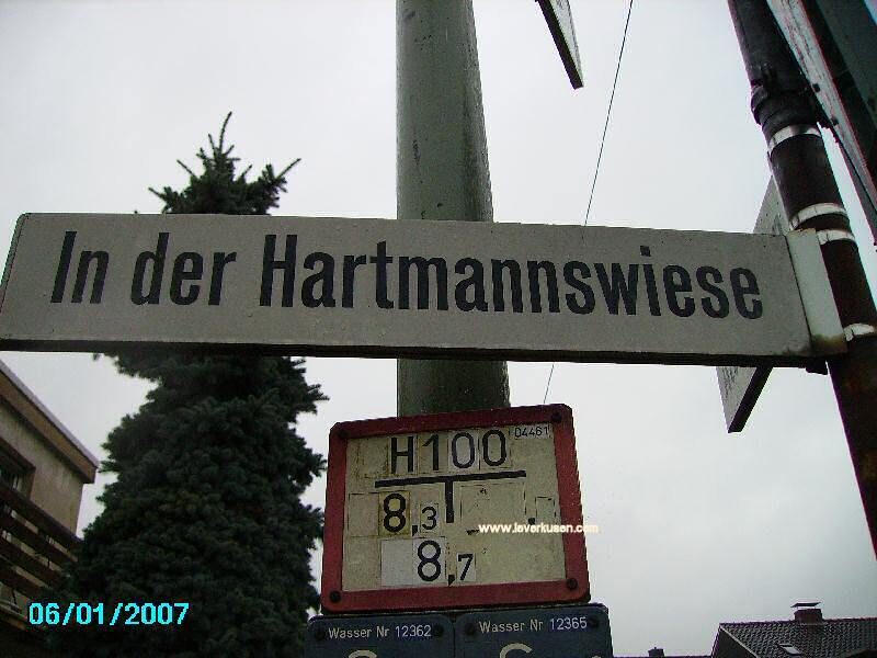In der Hartmannswiese