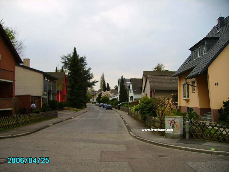 Haydnstr.