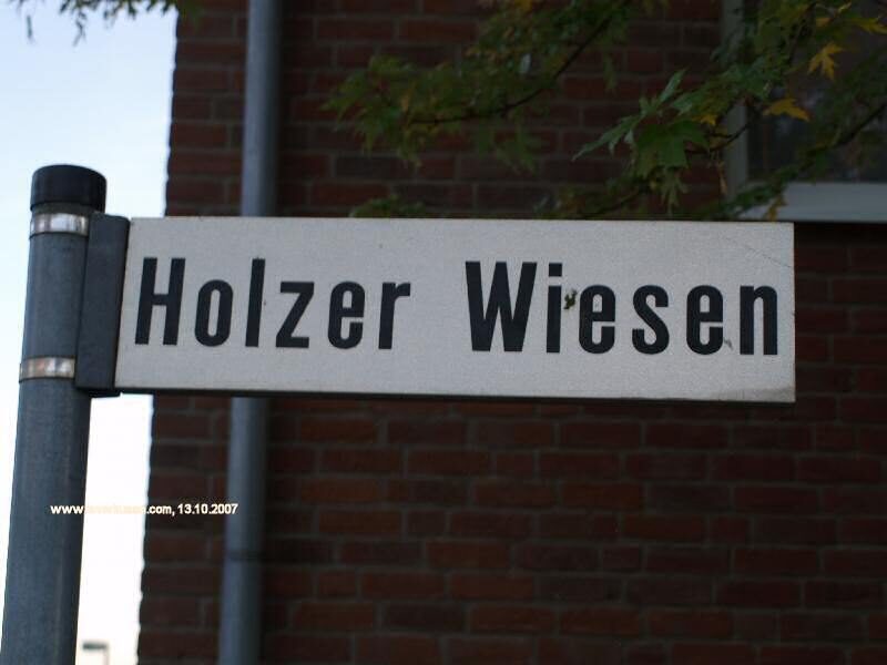 Holzer Wiesen