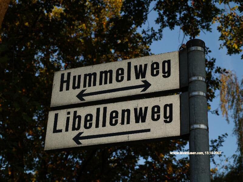 Hummelweg