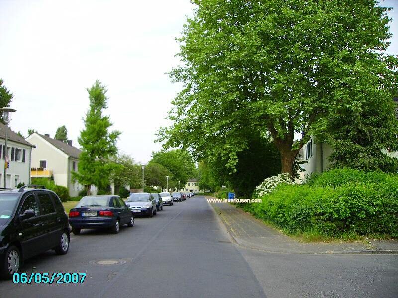 Jenaer Str.