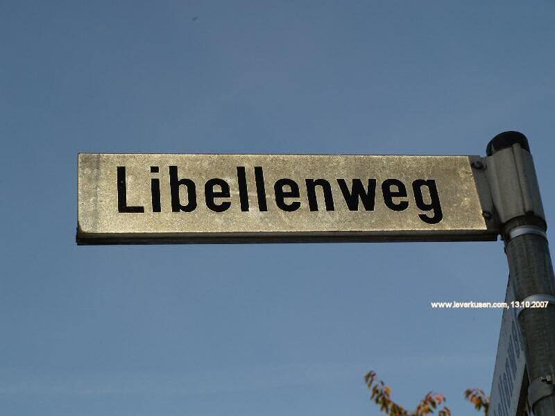 Libellenweg