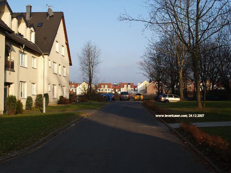 Ligusterweg