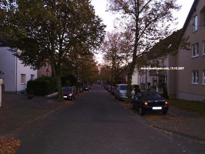 Maashofstr.