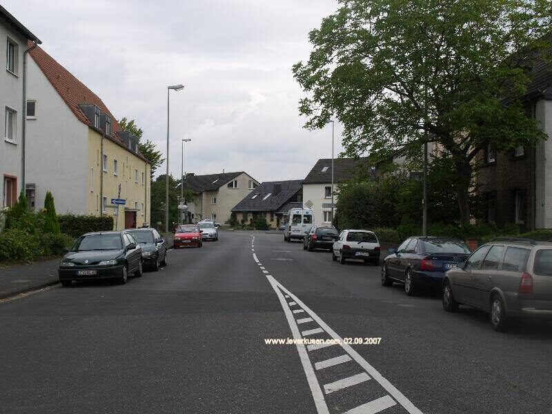 Mauspfad