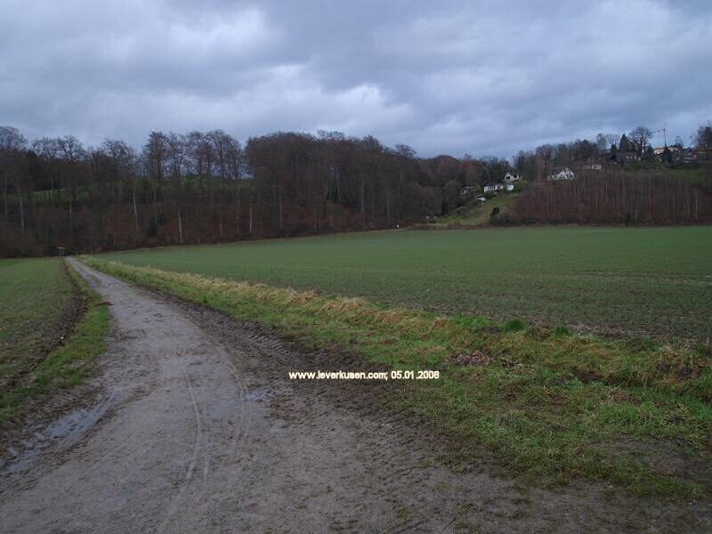 Im Mittelbusch