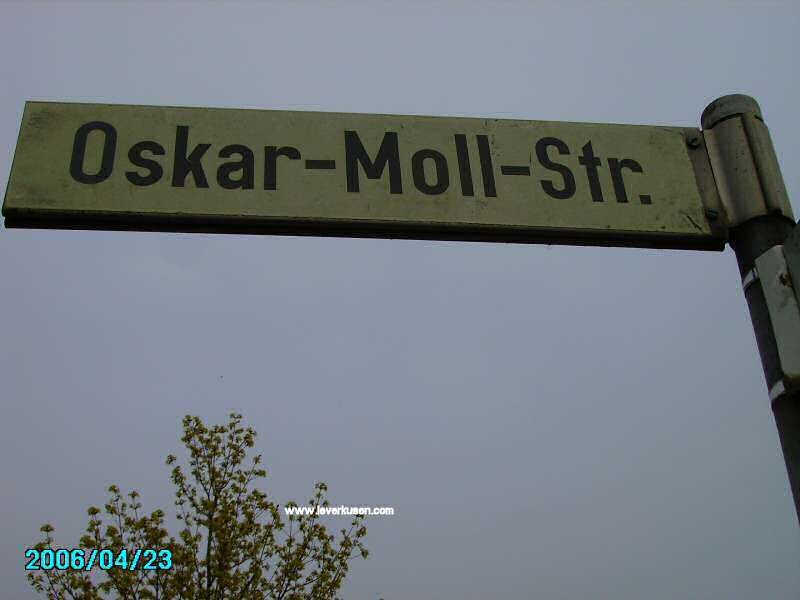Oskar-Moll-Str.