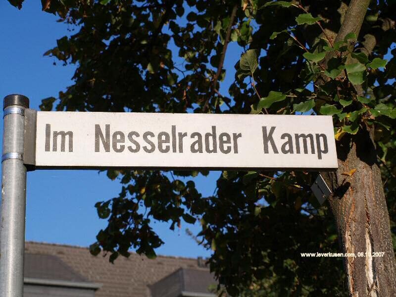 Im Nesselrader Kamp