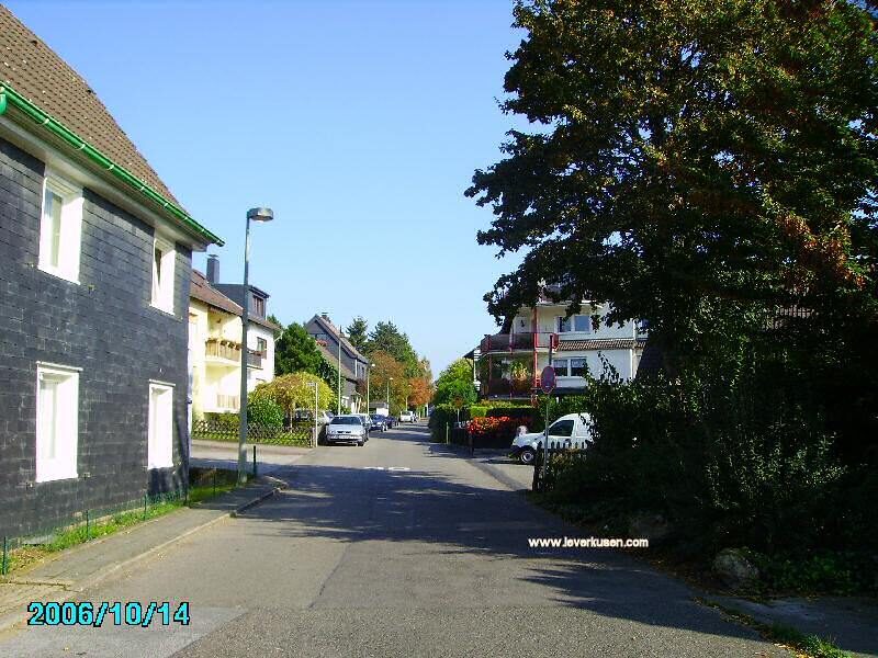 Im Oberfeld