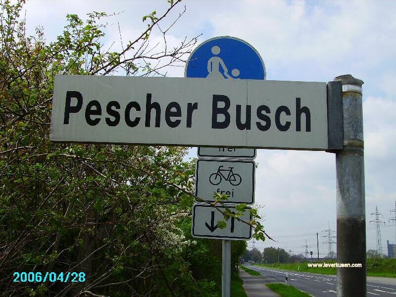 Pescher Busch