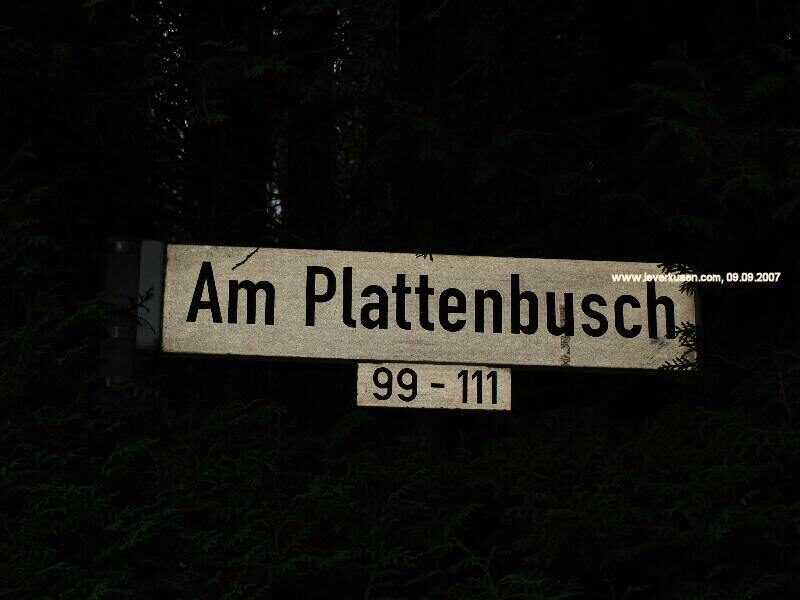 Am Plattenbusch